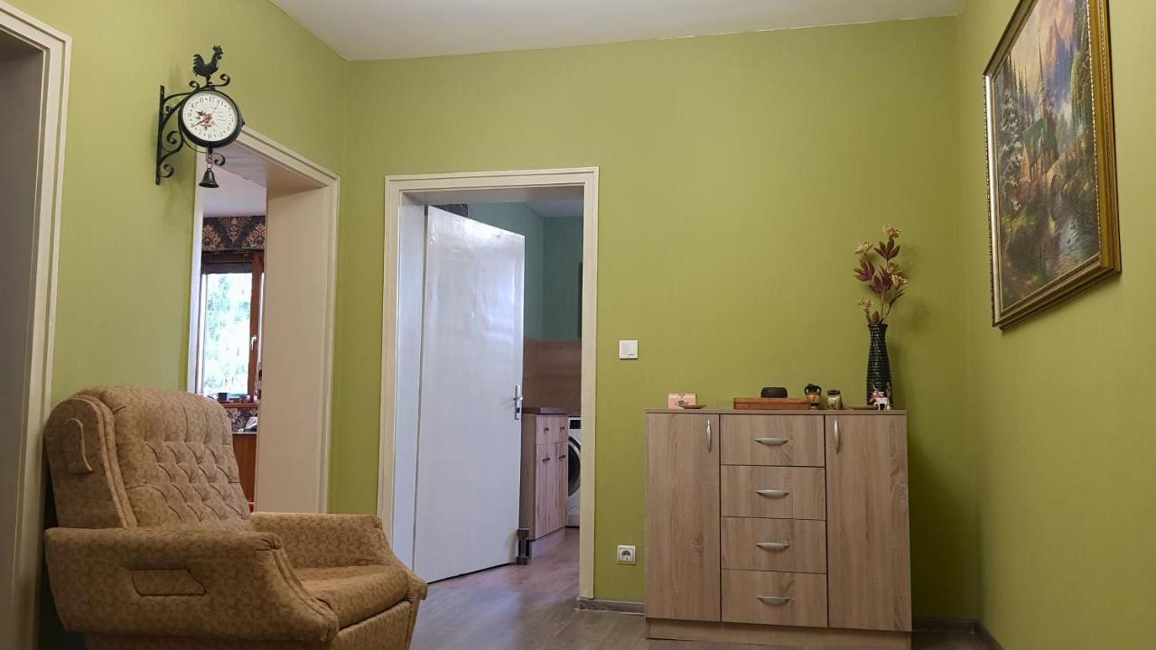 Дионея Belogradcic Exterior foto