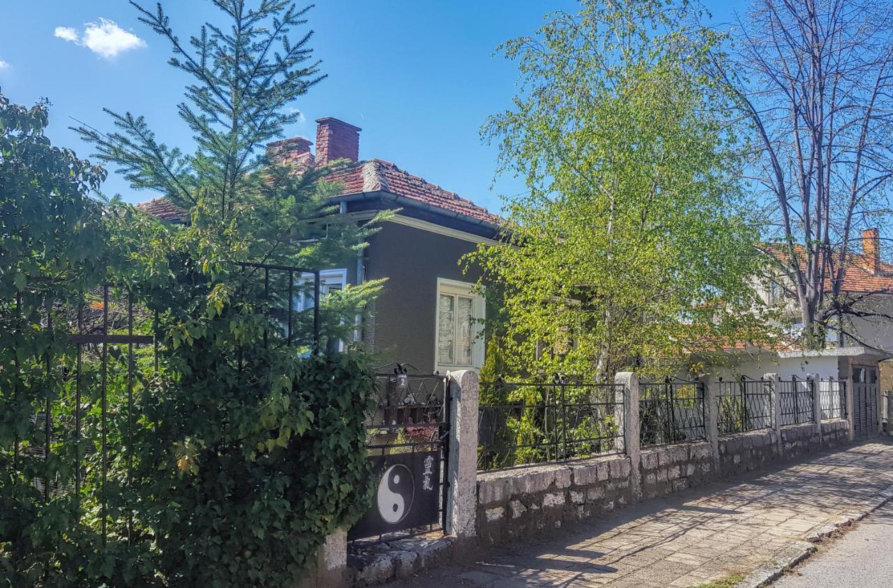Дионея Belogradcic Exterior foto