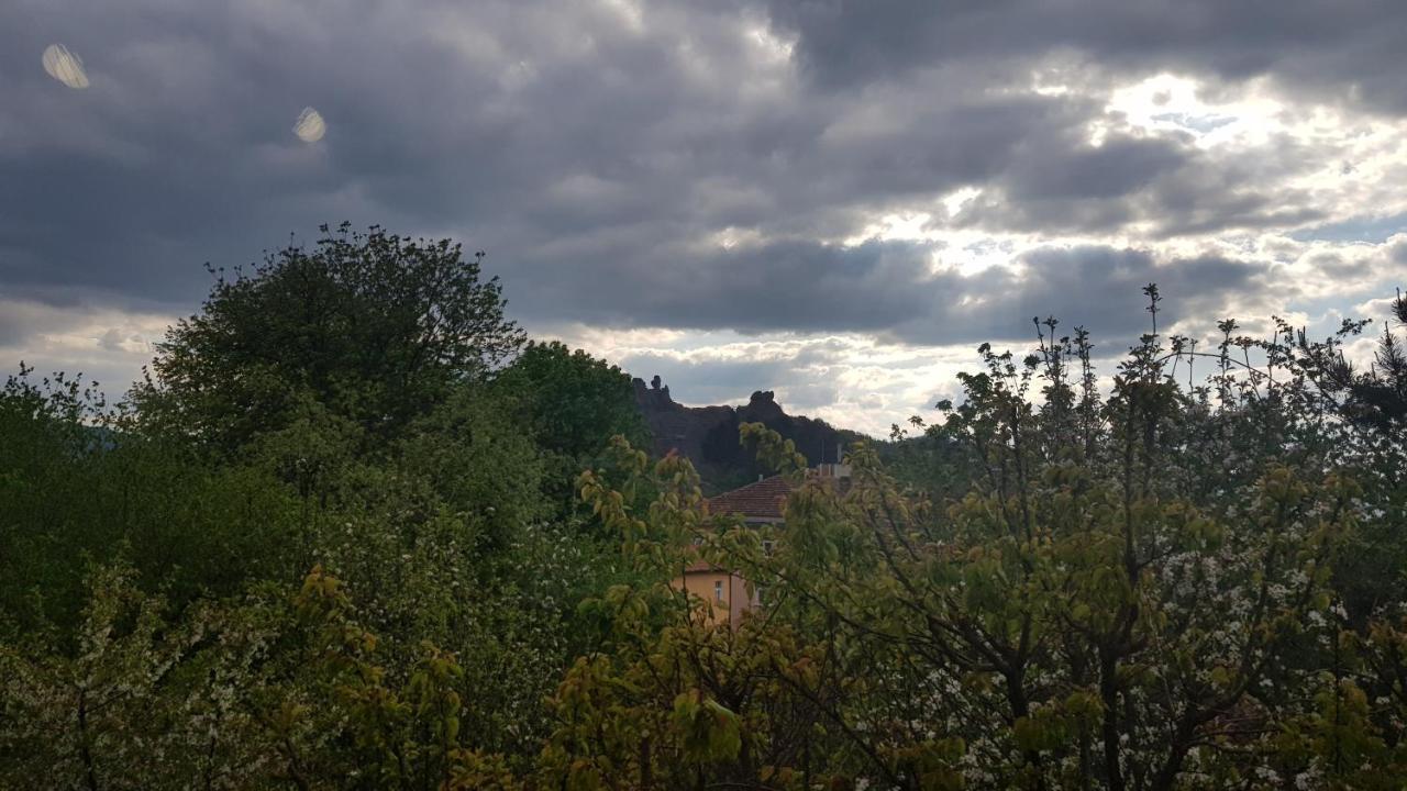 Дионея Belogradcic Exterior foto